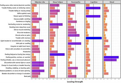 Symptom Clusters and Functional Impairment in Individuals Treated for Lyme Borreliosis